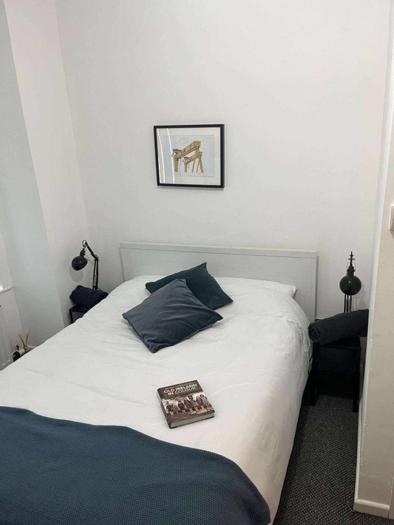 Loganberry Apartment Belfast Buitenkant foto