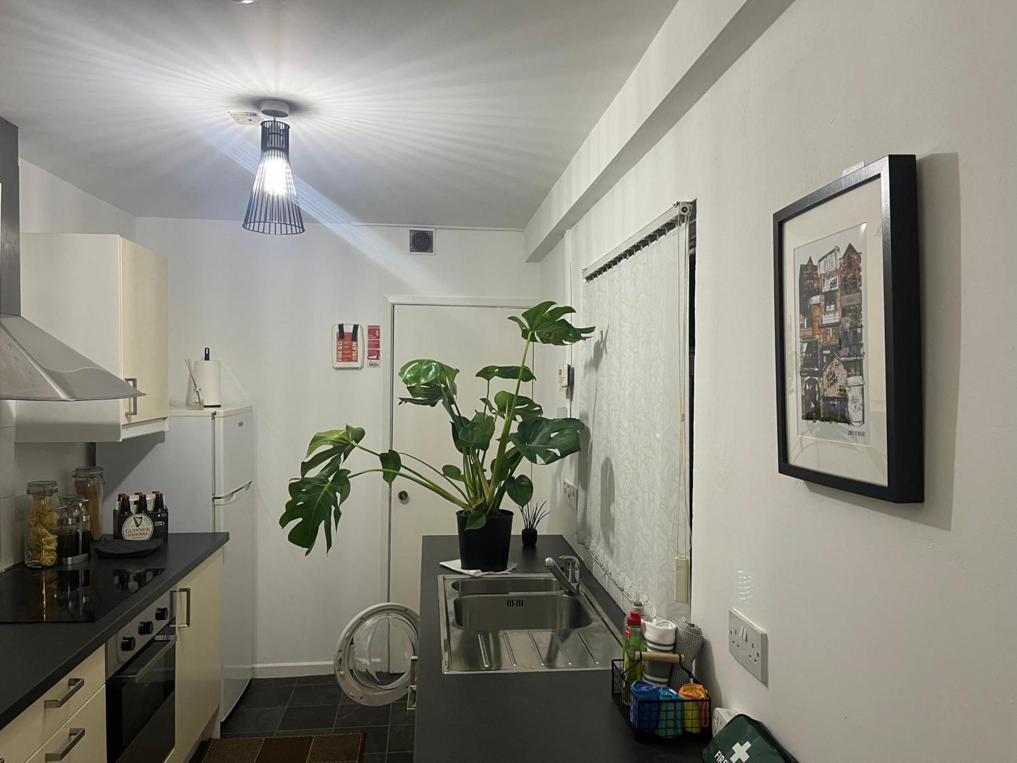 Loganberry Apartment Belfast Buitenkant foto